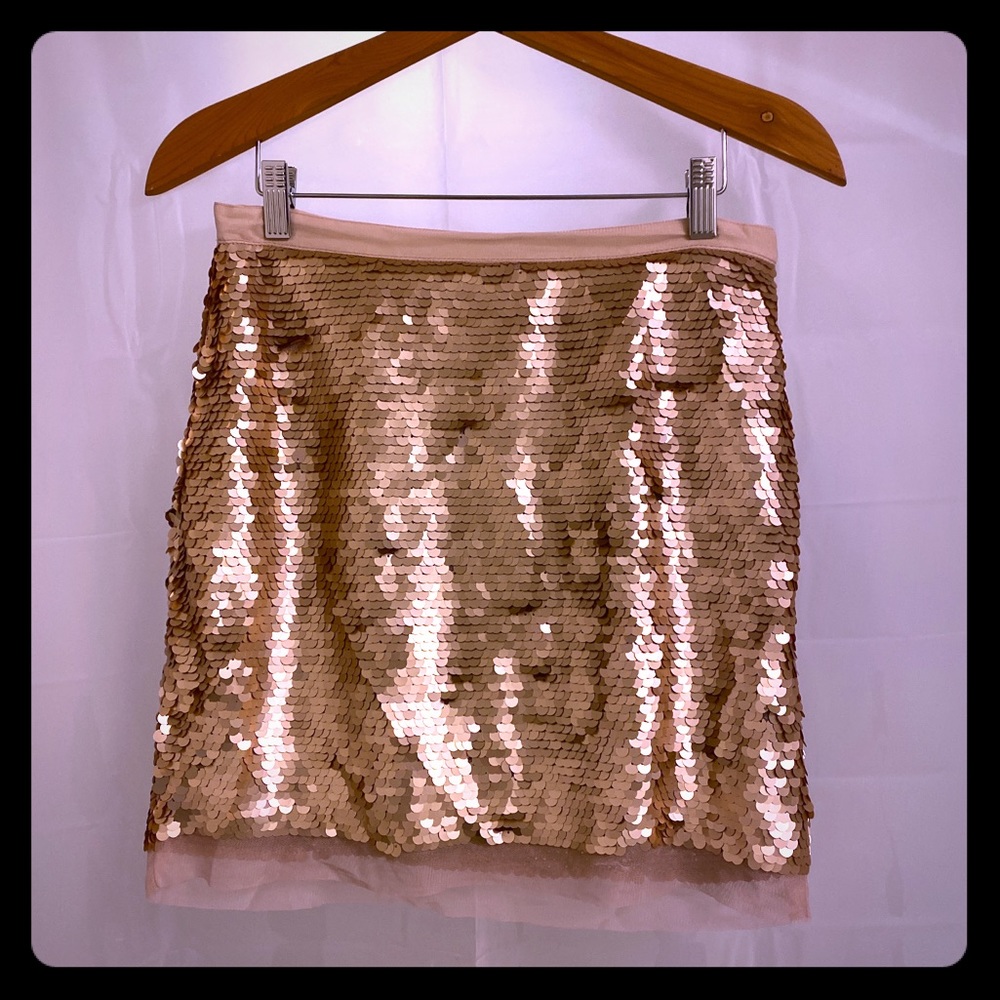 Gold sequin skirt with fine tulle trim NWT